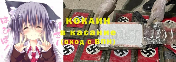 индика Киренск