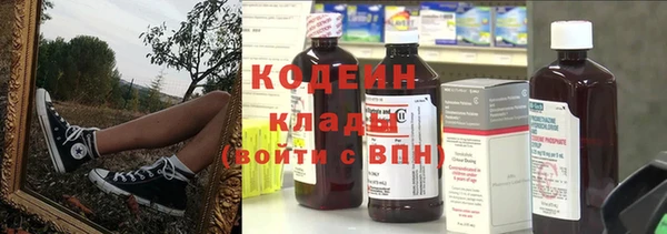 индика Киренск