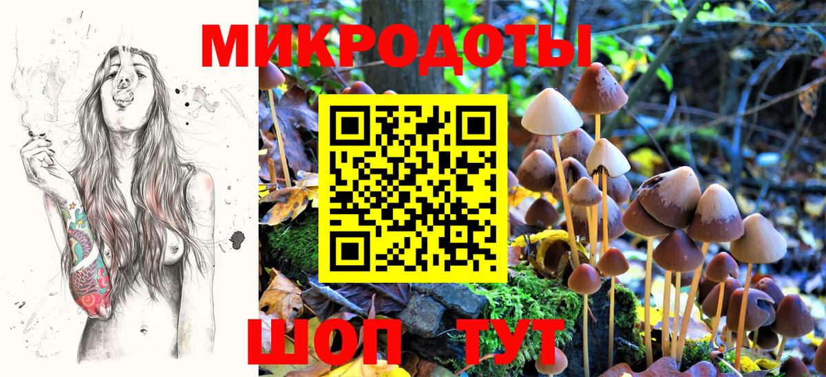 Галлюциногенные грибы ЛСД Чапаевск