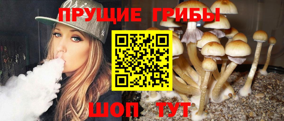 Чапаевск  Псилоцибиновые грибы Psilocybine cubensis  Псилоцибиновые грибы Psilocybe  Вход с VPN 